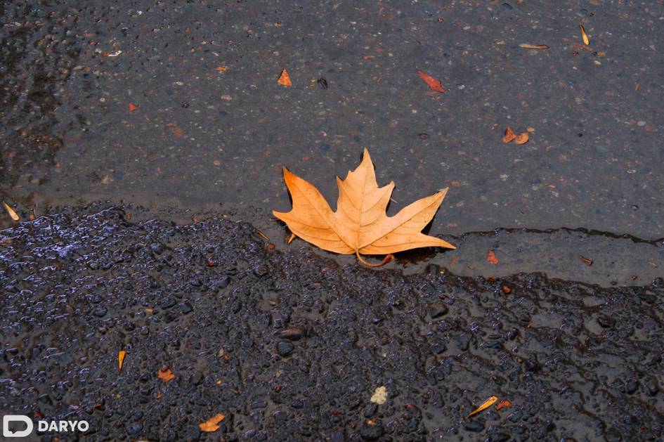 O‘zbekistonning ayrim hududlarida 31-oktyabrda yomg‘ir yog‘adi